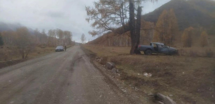 Врезался в дерево на пикапе и переломал ребра пенсионер без водительских прав