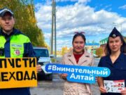Водитель, пропусти пешехода! Водитель, пропусти пешехода!