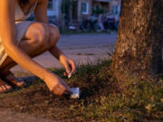 Жителей Усть-Иши «приняли» в Горно-Алтайске возле тайника с наркотиком Жителей Усть-Иши «приняли» в Горно-Алтайске возле тайника с наркотиком